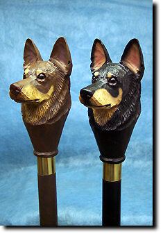 Adult Australian Kelpie PRODUCT