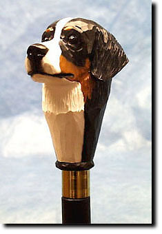 Adult Bernese Mt. Dog PRODUCT