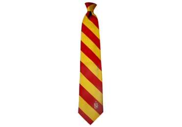 Delta Chi Signature Stripe Necktie fraternity greek necktie college wear university gear men's clothing