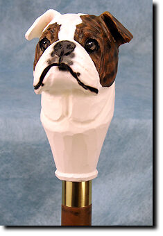 Adult English Bulldog PRODUCT