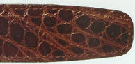 Genuine Alligator.jpg (13346 bytes)
