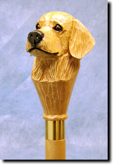 Adult Golden Retriever Show PRODUCT