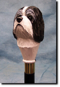 Adult Havanese PRODUCT