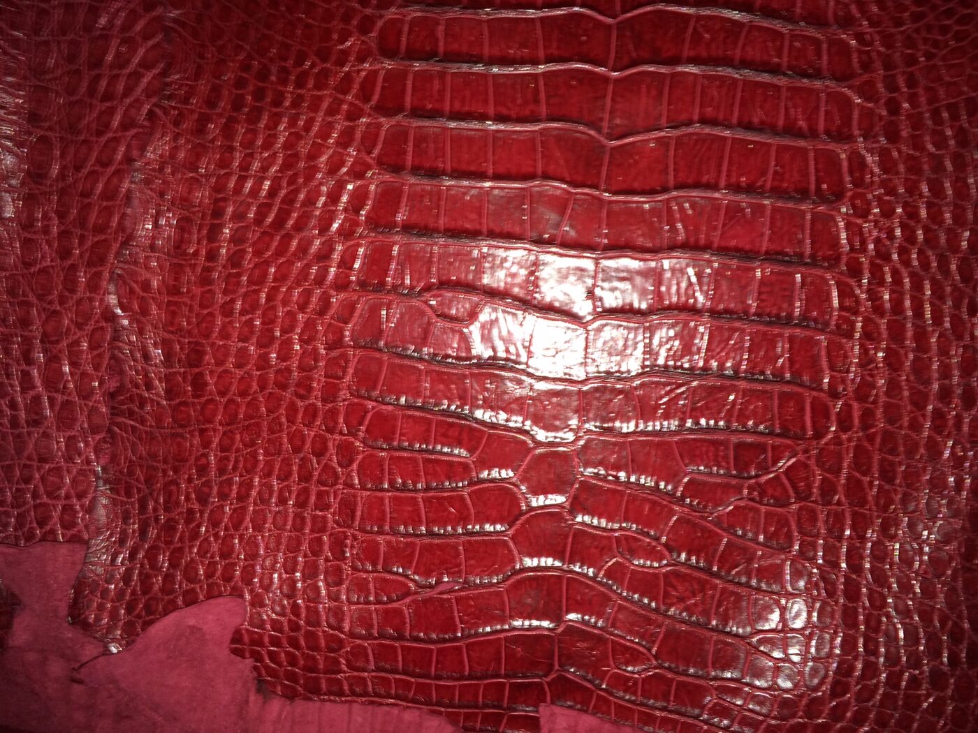 redallgolf