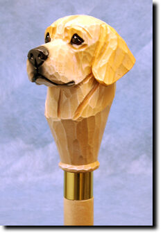 Adult Labrador Retriever PRODUCT