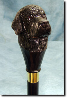 Adult Newfoundland PRODUCT