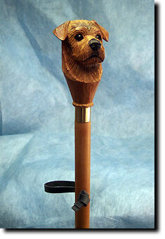 Adult Norfolk Terrier PRODUCT