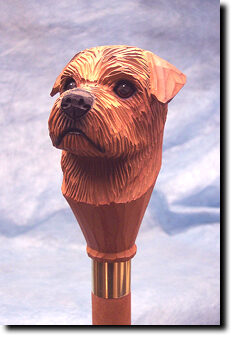 Adult Norfolk Terrier PRODUCT