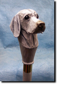 Adult Weimaraner PRODUCT
