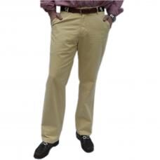 Campus Pant - Yellow