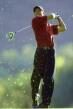Tiger%2520Woods.jpg (2028 bytes)