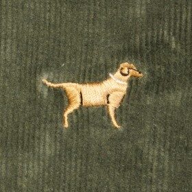 Beachcomber Corduroy Pant Olive with Golden Retriever