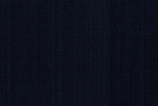 rhblazer1