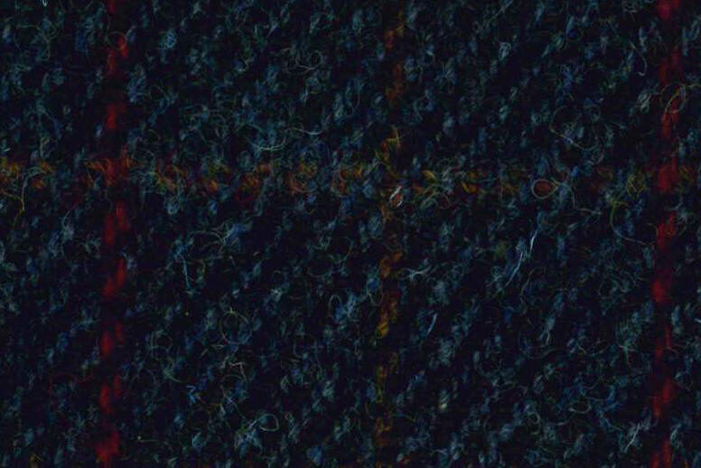 blueoverplaid