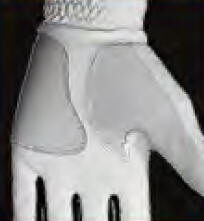 palmgl