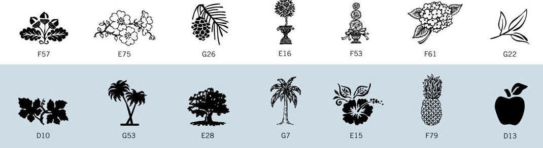motif8