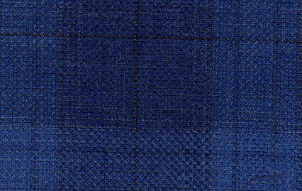 blueplaid19har