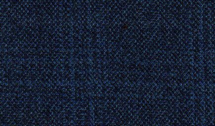 blueplaid319
