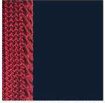 Navywithburgundytrim